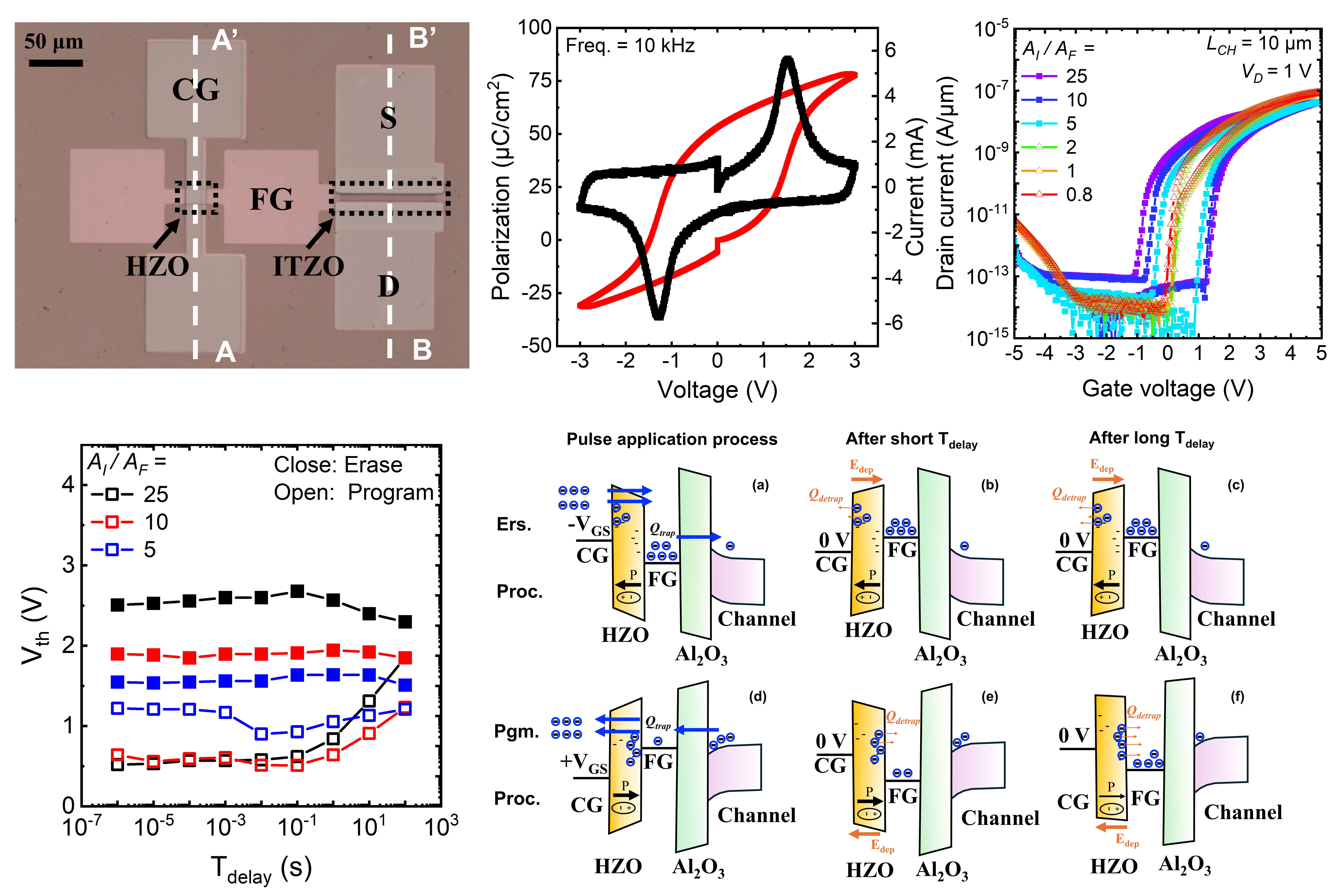 Unveiling Time-Dependent Dynamics in MFMIS FeFETs